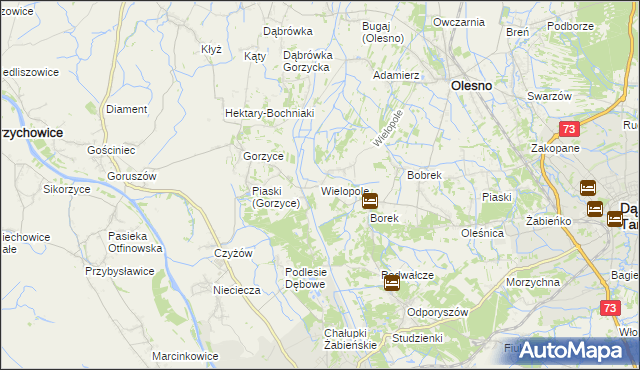 mapa Wielopole gmina Olesno, Wielopole gmina Olesno na mapie Targeo