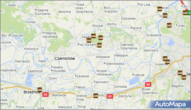 mapa Wołowice, Wołowice na mapie Targeo