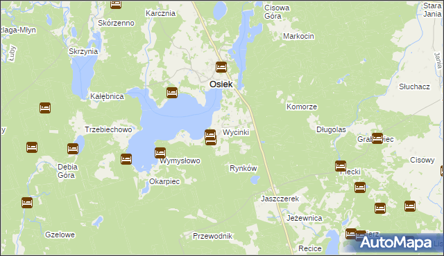 mapa Wycinki gmina Osiek, Wycinki gmina Osiek na mapie Targeo