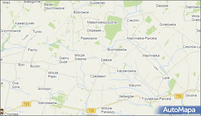 mapa Zalesie gmina Błędów, Zalesie gmina Błędów na mapie Targeo
