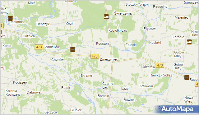 mapa Zwierzyniec gmina Drużbice, Zwierzyniec gmina Drużbice na mapie Targeo