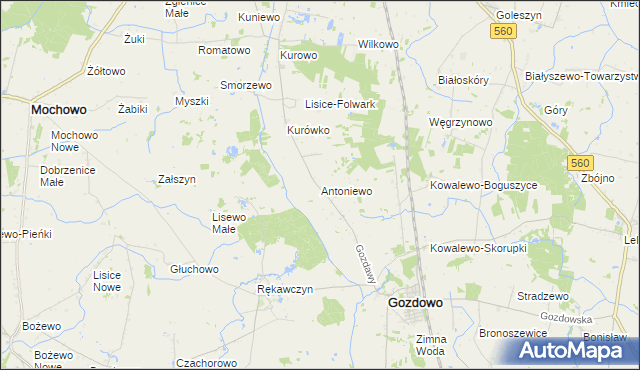 mapa Antoniewo gmina Gozdowo, Antoniewo gmina Gozdowo na mapie Targeo