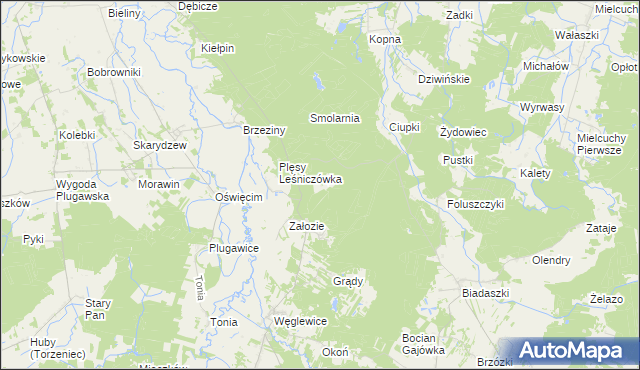 mapa Brzeziny Leśniczówka, Brzeziny Leśniczówka na mapie Targeo