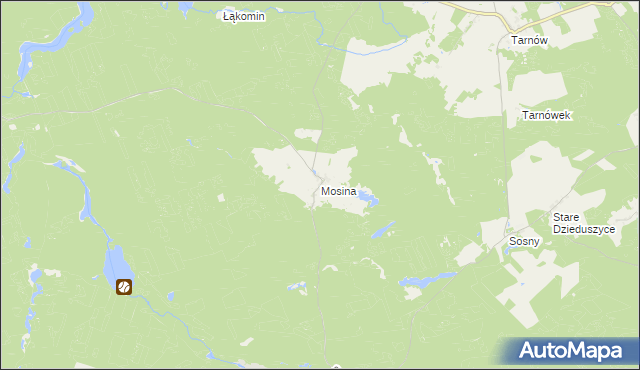 mapa Mosina gmina Witnica, Mosina gmina Witnica na mapie Targeo