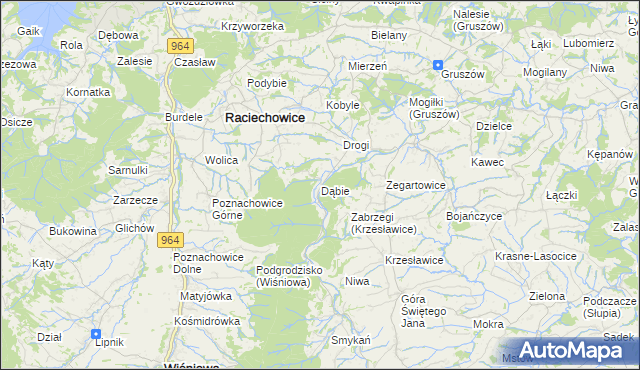 mapa Dąbie gmina Raciechowice, Dąbie gmina Raciechowice na mapie Targeo