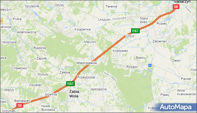 mapa Siestrzeń, Siestrzeń na mapie Targeo
