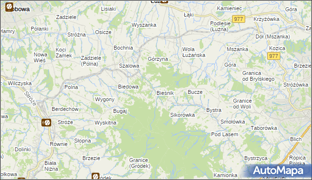 mapa Bieśnik gmina Łużna, Bieśnik gmina Łużna na mapie Targeo