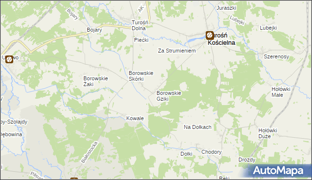 mapa Borowskie Gziki, Borowskie Gziki na mapie Targeo