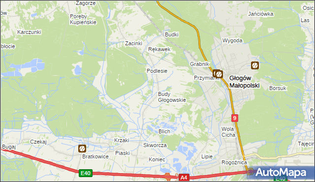 mapa Budy Głogowskie, Budy Głogowskie na mapie Targeo
