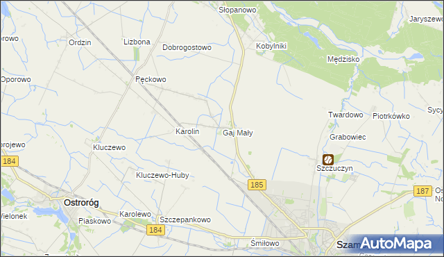 mapa Gaj Mały gmina Obrzycko, Gaj Mały gmina Obrzycko na mapie Targeo