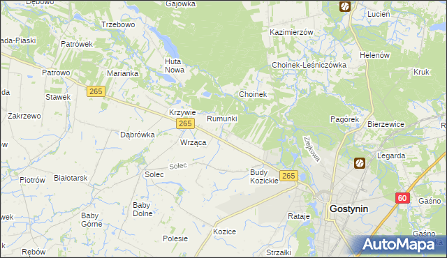 mapa Nagodów gmina Gostynin, Nagodów gmina Gostynin na mapie Targeo