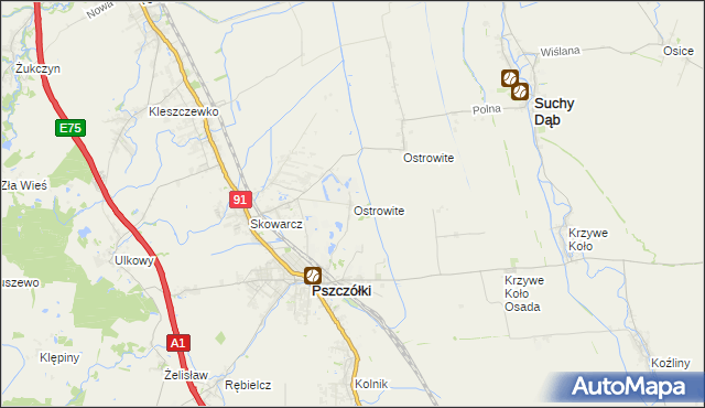 mapa Ostrowite gmina Pszczółki, Ostrowite gmina Pszczółki na mapie Targeo