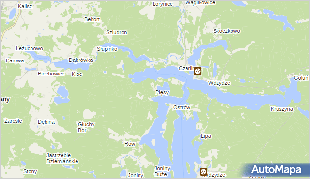 mapa Płęsy, Płęsy na mapie Targeo