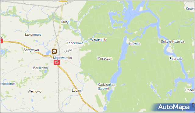 mapa Puszczyn gmina Koronowo, Puszczyn gmina Koronowo na mapie Targeo