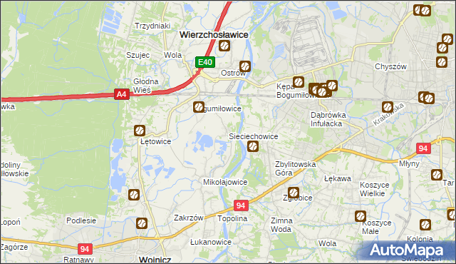 mapa Sieciechowice gmina Wierzchosławice, Sieciechowice gmina Wierzchosławice na mapie Targeo