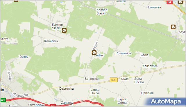 mapa Siedlec gmina Izbicko, Siedlec gmina Izbicko na mapie Targeo