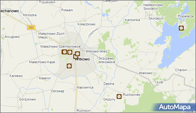 mapa Strzyżewo Witkowskie, Strzyżewo Witkowskie na mapie Targeo