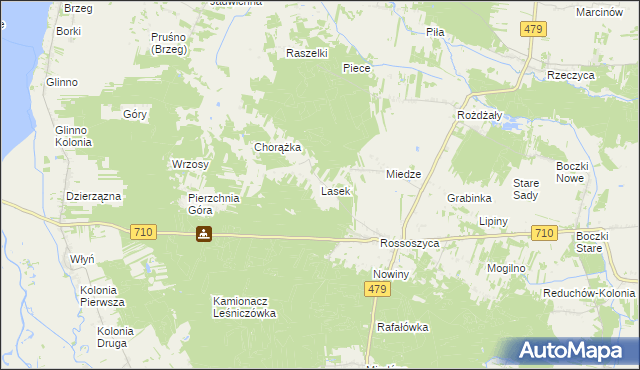 mapa Lasek gmina Warta, Lasek gmina Warta na mapie Targeo