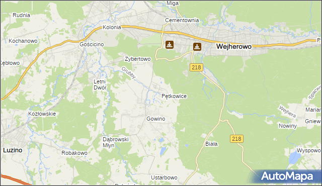 mapa Pętkowice gmina Wejherowo, Pętkowice gmina Wejherowo na mapie Targeo