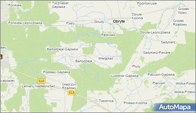 mapa Wielgolas gmina Obryte, Wielgolas gmina Obryte na mapie Targeo
