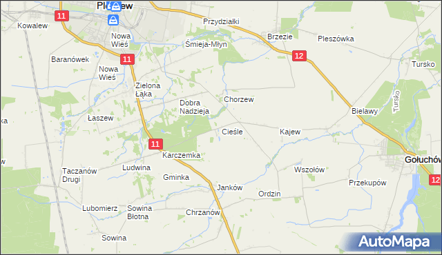 mapa Cieśle gmina Gołuchów, Cieśle gmina Gołuchów na mapie Targeo