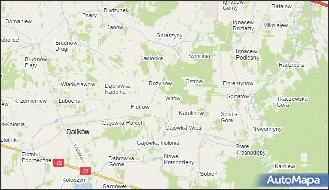 mapa Witów gmina Dalików, Witów gmina Dalików na mapie Targeo