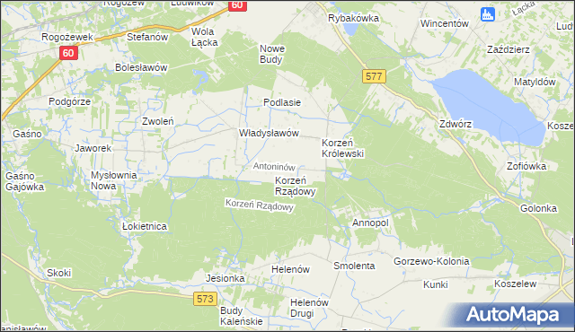 mapa Antoninów gmina Łąck, Antoninów gmina Łąck na mapie Targeo