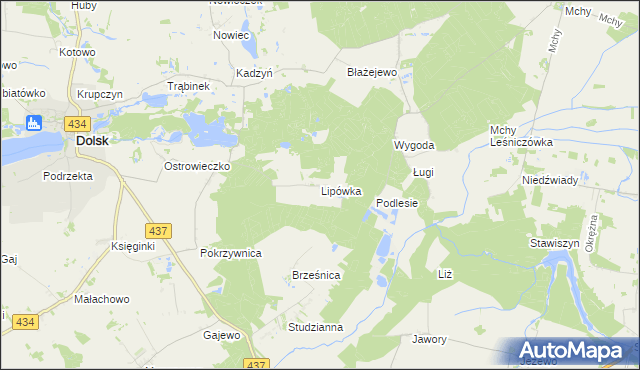mapa Lipówka gmina Dolsk, Lipówka gmina Dolsk na mapie Targeo