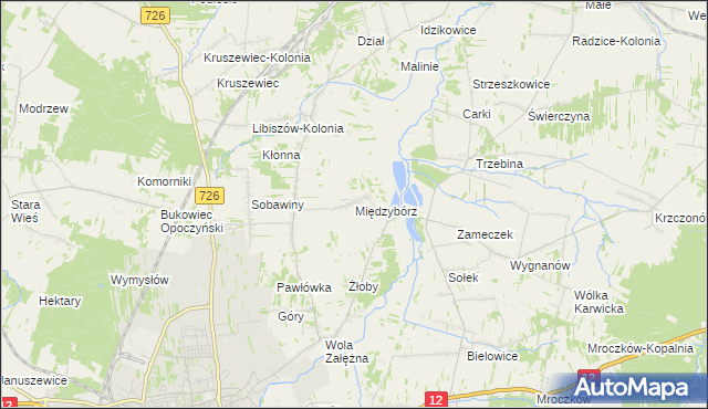 mapa Międzybórz gmina Opoczno, Międzybórz gmina Opoczno na mapie Targeo