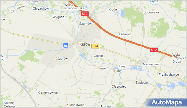 mapa Olesin gmina Kurów, Olesin gmina Kurów na mapie Targeo