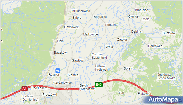 mapa Ostrów Szlachecki, Ostrów Szlachecki na mapie Targeo