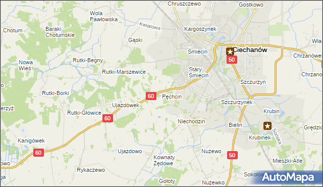 mapa Pęchcin, Pęchcin na mapie Targeo