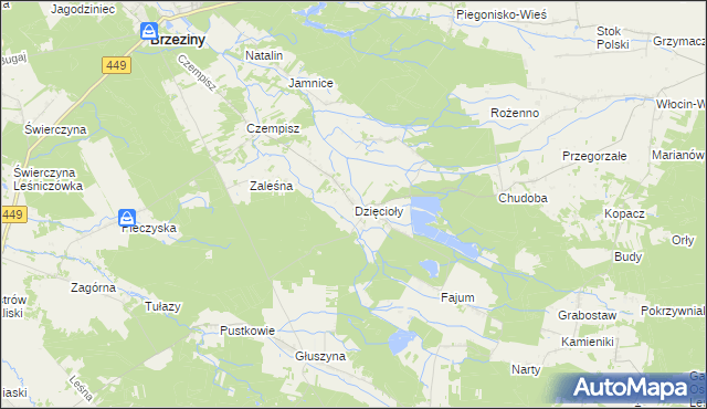 mapa Dzięcioły gmina Brzeziny, Dzięcioły gmina Brzeziny na mapie Targeo