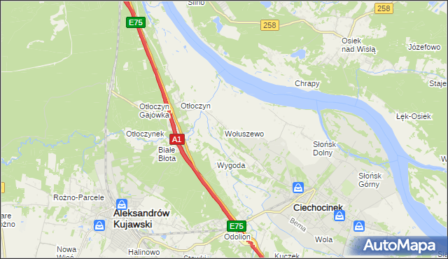 mapa Wołuszewo, Wołuszewo na mapie Targeo