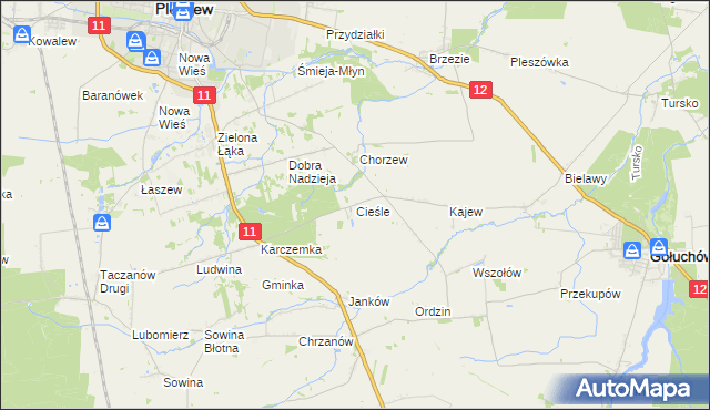 mapa Cieśle gmina Gołuchów, Cieśle gmina Gołuchów na mapie Targeo