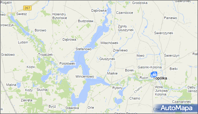 mapa Głuszynek, Głuszynek na mapie Targeo
