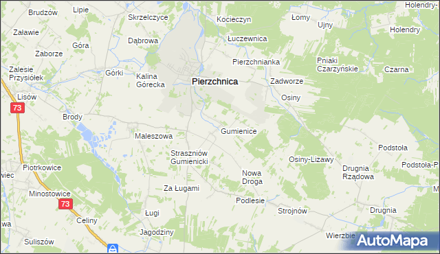 mapa Gumienice gmina Pierzchnica, Gumienice gmina Pierzchnica na mapie Targeo