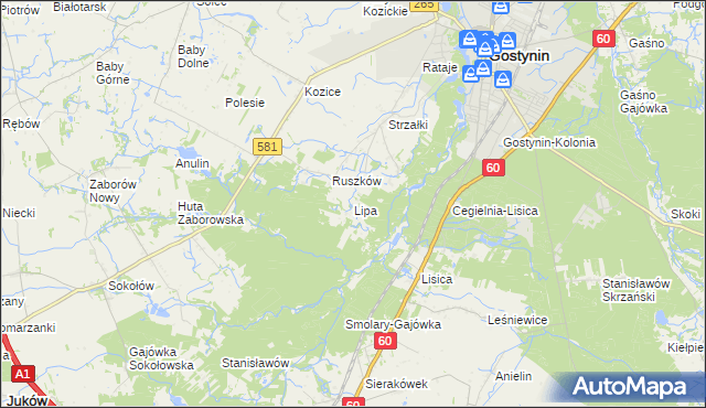 mapa Lipa gmina Gostynin, Lipa gmina Gostynin na mapie Targeo
