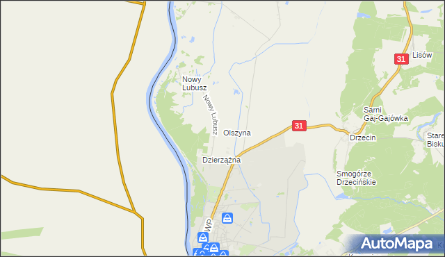 mapa Olszyna gmina Słubice, Olszyna gmina Słubice na mapie Targeo