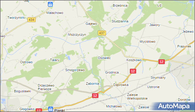 mapa Osówiec gmina Borek Wielkopolski, Osówiec gmina Borek Wielkopolski na mapie Targeo