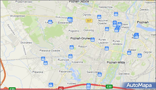 mapa Raszyn gmina Poznań, Raszyn gmina Poznań na mapie Targeo