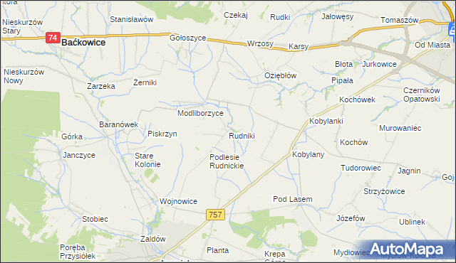 mapa Rudniki gmina Baćkowice, Rudniki gmina Baćkowice na mapie Targeo