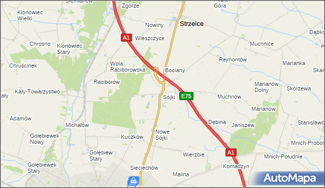 mapa Sójki gmina Strzelce, Sójki gmina Strzelce na mapie Targeo