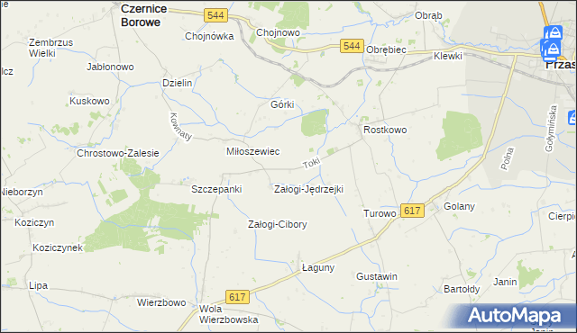 mapa Toki gmina Czernice Borowe, Toki gmina Czernice Borowe na mapie Targeo