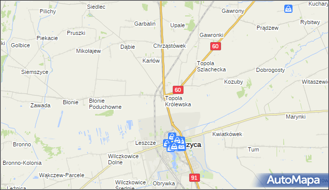 mapa Topola Królewska, Topola Królewska na mapie Targeo