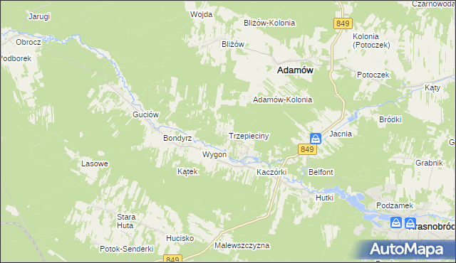 mapa Trzepieciny, Trzepieciny na mapie Targeo