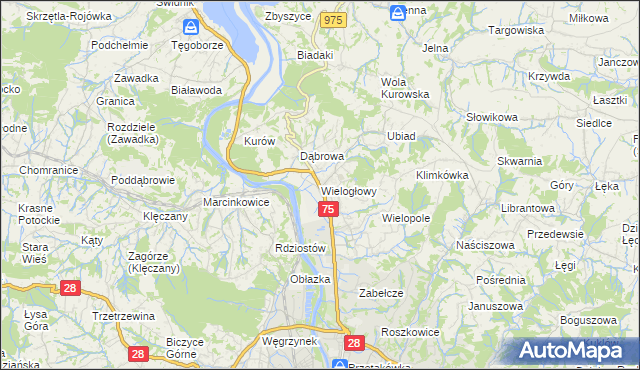 mapa Wielogłowy gmina Chełmiec, Wielogłowy gmina Chełmiec na mapie Targeo
