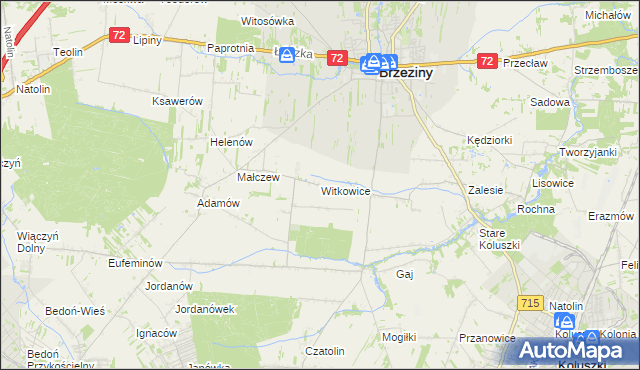 mapa Witkowice gmina Brzeziny, Witkowice gmina Brzeziny na mapie Targeo