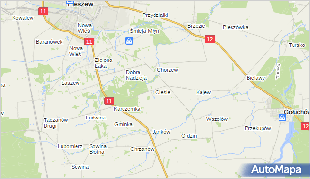 mapa Cieśle gmina Gołuchów, Cieśle gmina Gołuchów na mapie Targeo