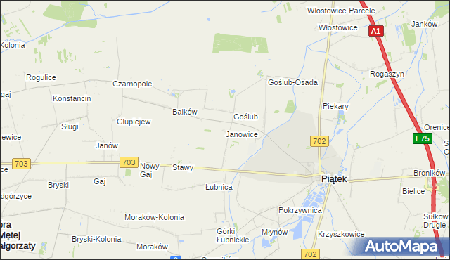 mapa Janowice gmina Piątek, Janowice gmina Piątek na mapie Targeo